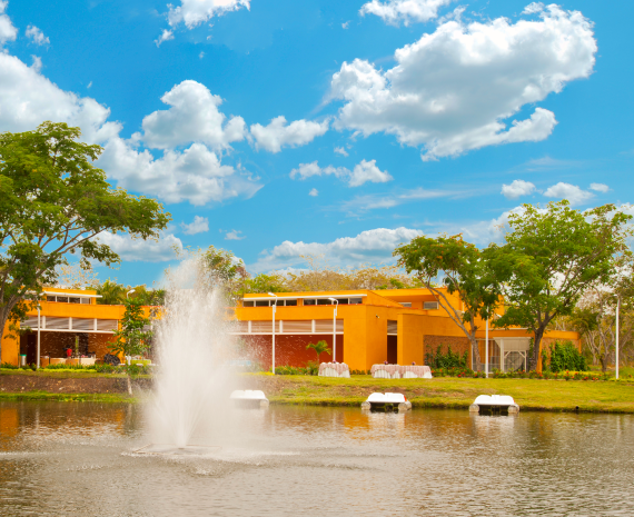 Pasadía Búsqueda del tesoro