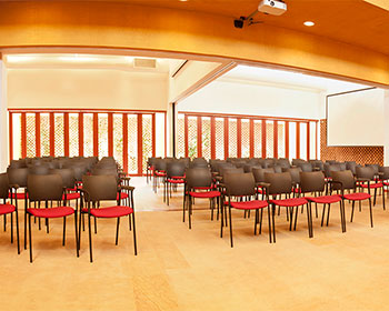 Pasadía empresarial + salón