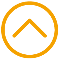 Icono fecha Accordion